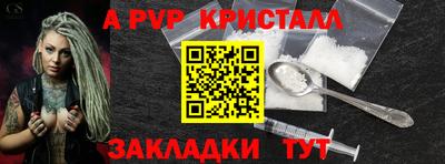 хмурый Кингисепп