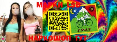 хмурый Кингисепп