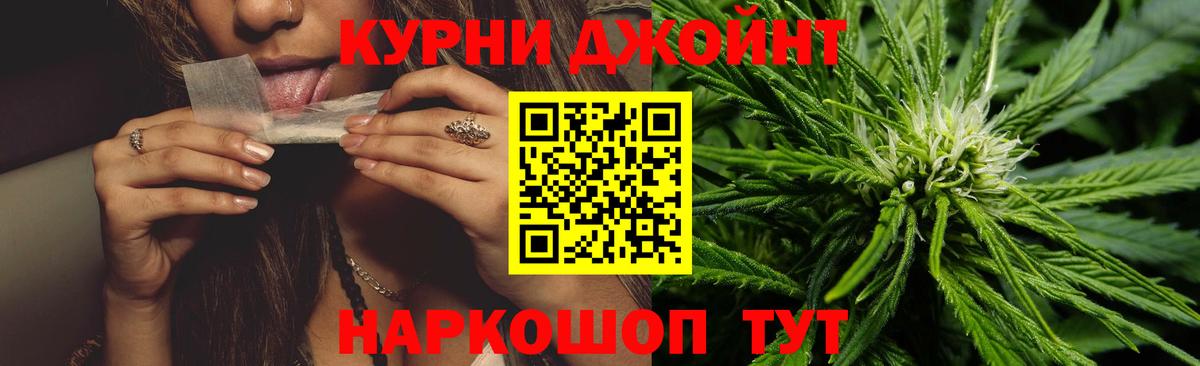 Бошки марихуана сатива Кировск